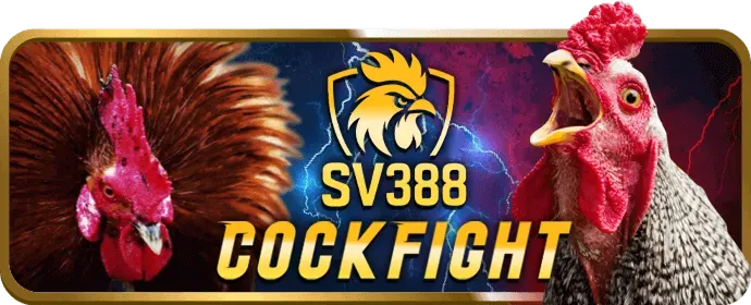 Hướng dẫn cho người mới bắt đầu với 1888bet
